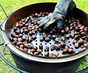 FB_IMG_1727777936522